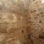 Ck Sultanahmet Bed & Breakfast Provincia di Istanbul
